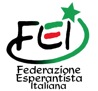 Il logo della FEI